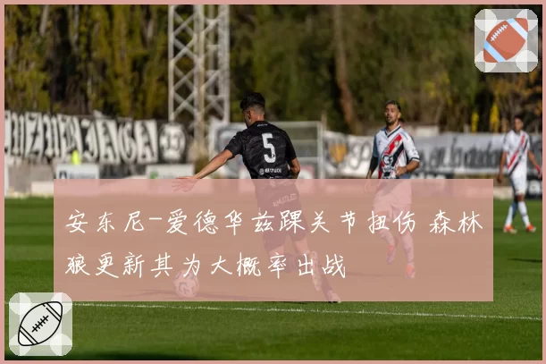 安东尼-爱德华兹踝关节扭伤 森林狼更新其为大概率出战