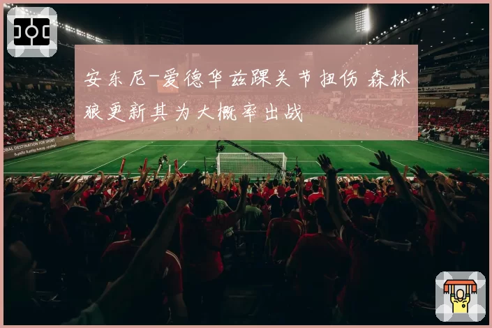 安东尼-爱德华兹踝关节扭伤 森林狼更新其为大概率出战