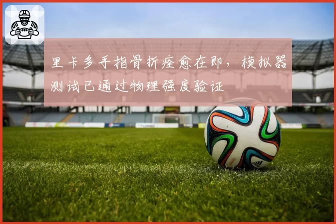 里卡多手指骨折痊愈在即，模拟器测试已通过物理强度验证
