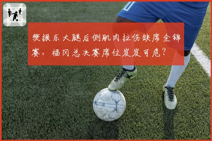 樊振东大腿后侧肌肉拉伤缺席全锦赛，福冈总决赛席位岌岌可危？