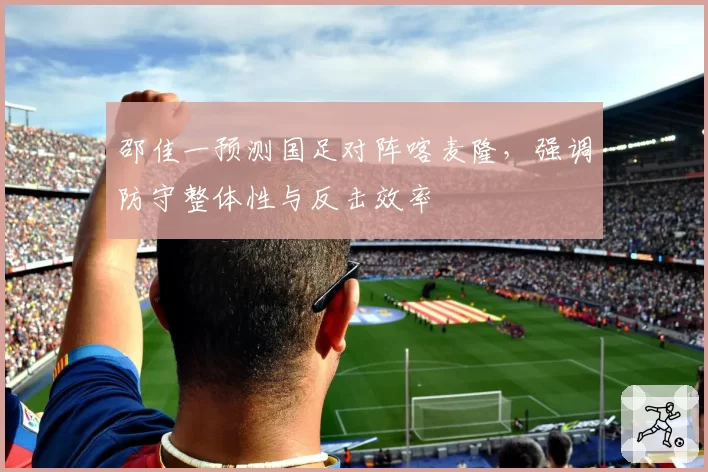 邵佳一预测国足对阵喀麦隆，强调防守整体性与反击效率