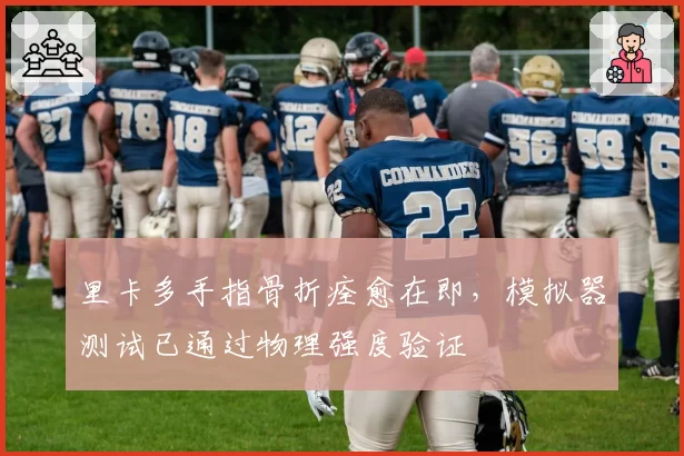 里卡多手指骨折痊愈在即，模拟器测试已通过物理强度验证
