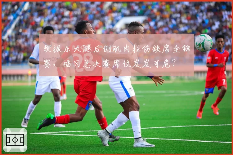 樊振东大腿后侧肌肉拉伤缺席全锦赛，福冈总决赛席位岌岌可危？